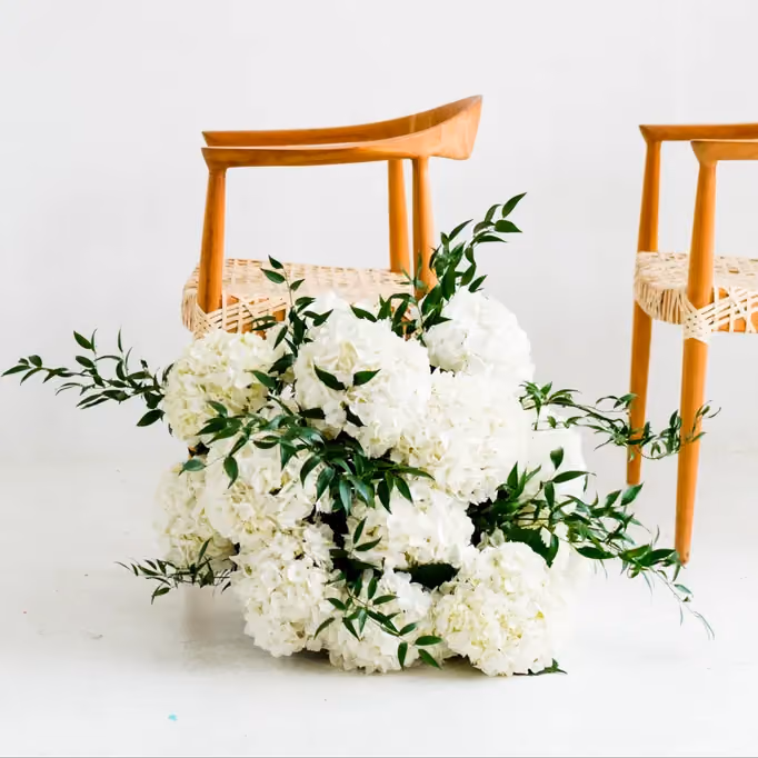 Poppy Flowers: Types of Wedding Flowers- Hydrangeas