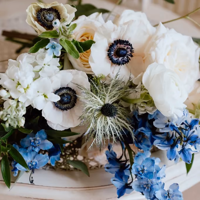 Poppy Flowers: Types of Wedding Flowers- Anemone