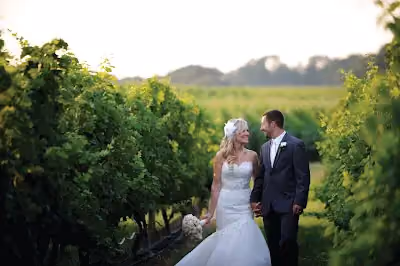 Hartford & New Haven - The Vineyards at Aquebogue
