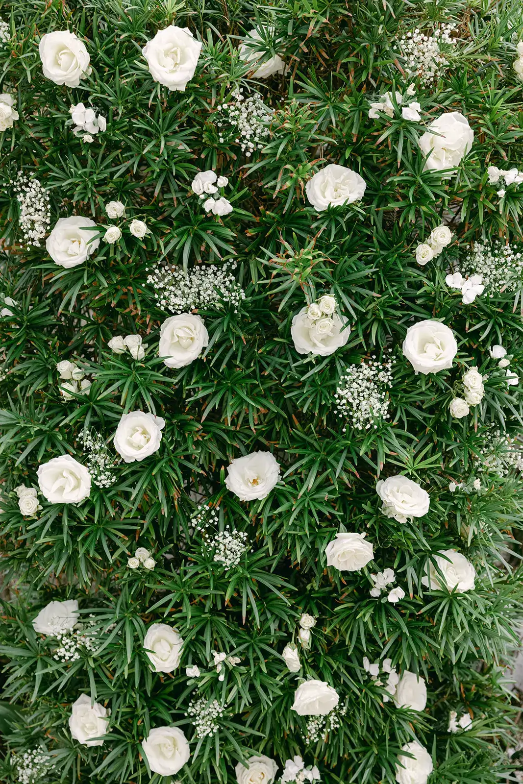 Real Poppy wedding — Morgan + Jahmahl at Private Residence