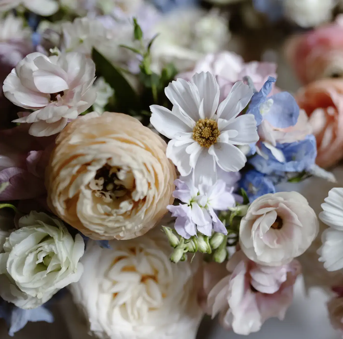 Real Poppy wedding — Eliana + Avi at Camp Ramah