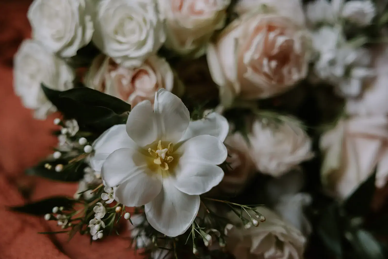 Real Poppy wedding — Regencycore