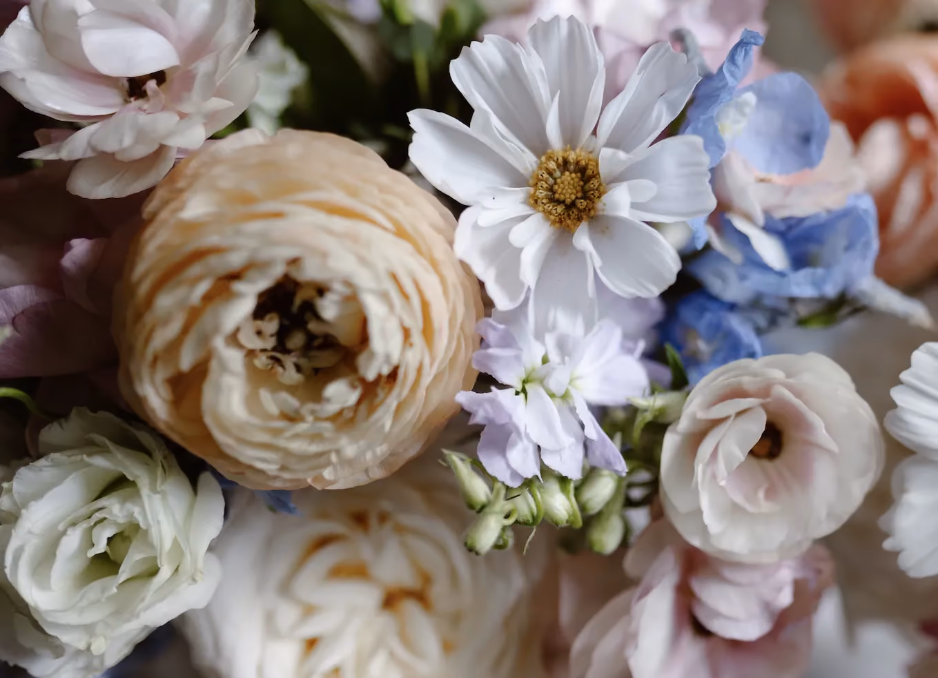 10 Spring Wedding Flowers for Every Budget That Wow
