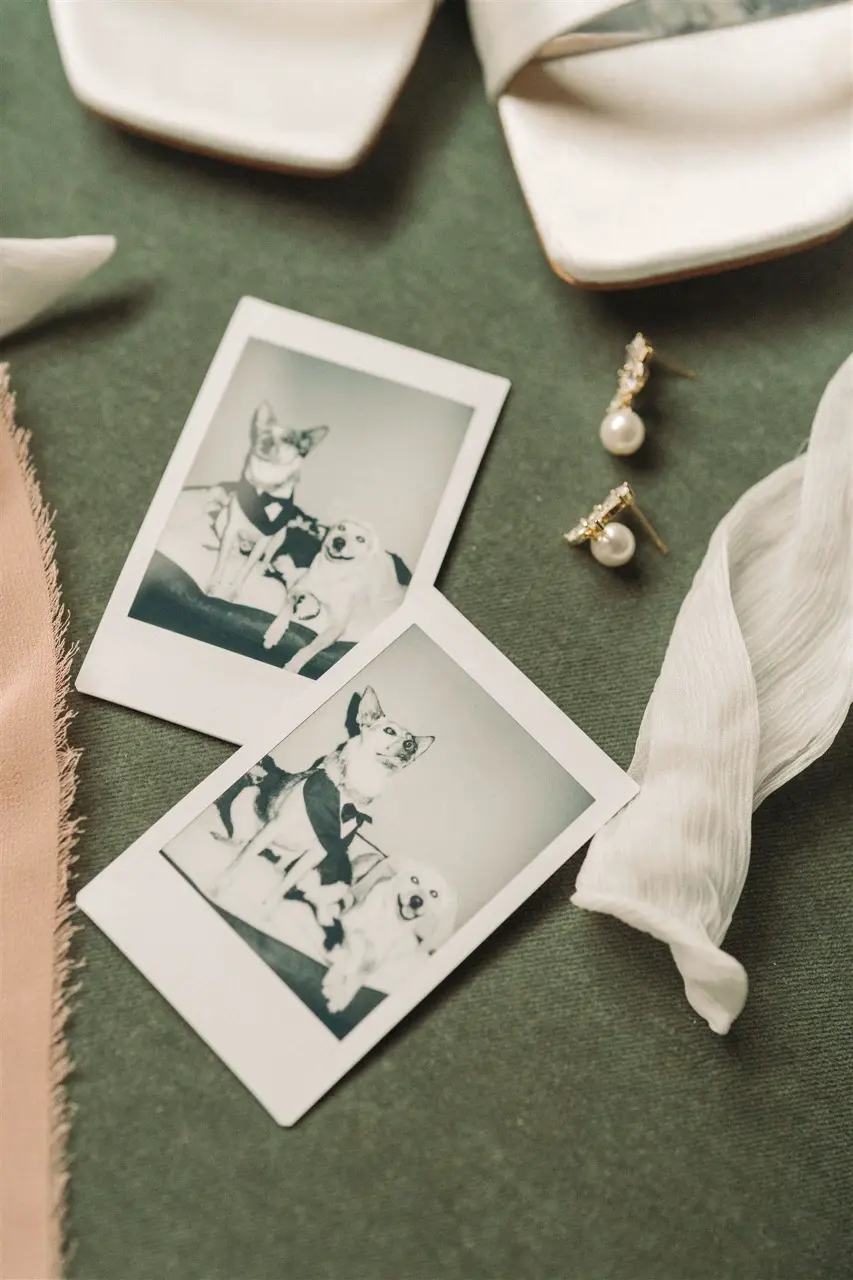 Real Poppy wedding — Annie + Austen at Brake & Clutch Warehouse