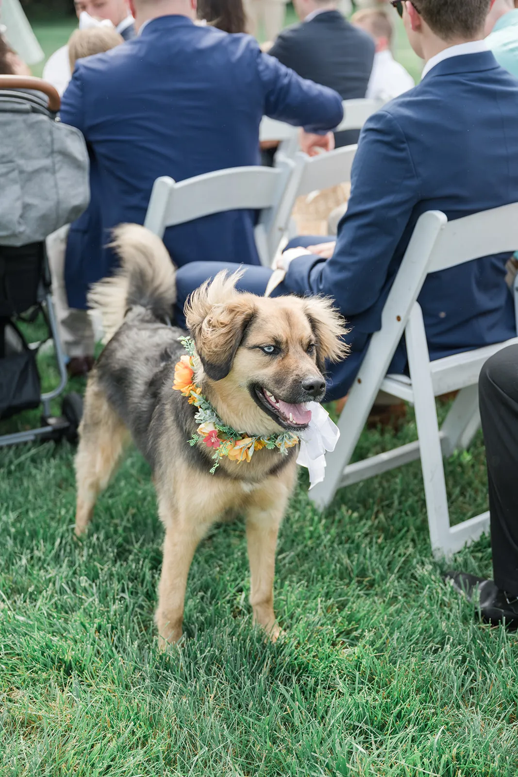 Real Poppy wedding — Emily + Will at Oakdale