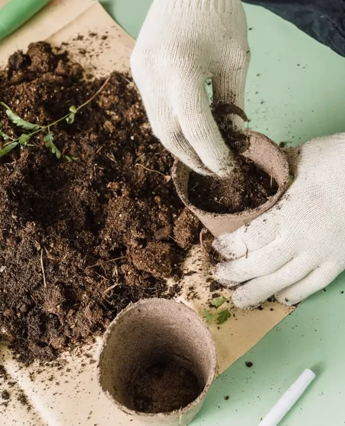 How to repurpose Poppy wedding flowers as compost
