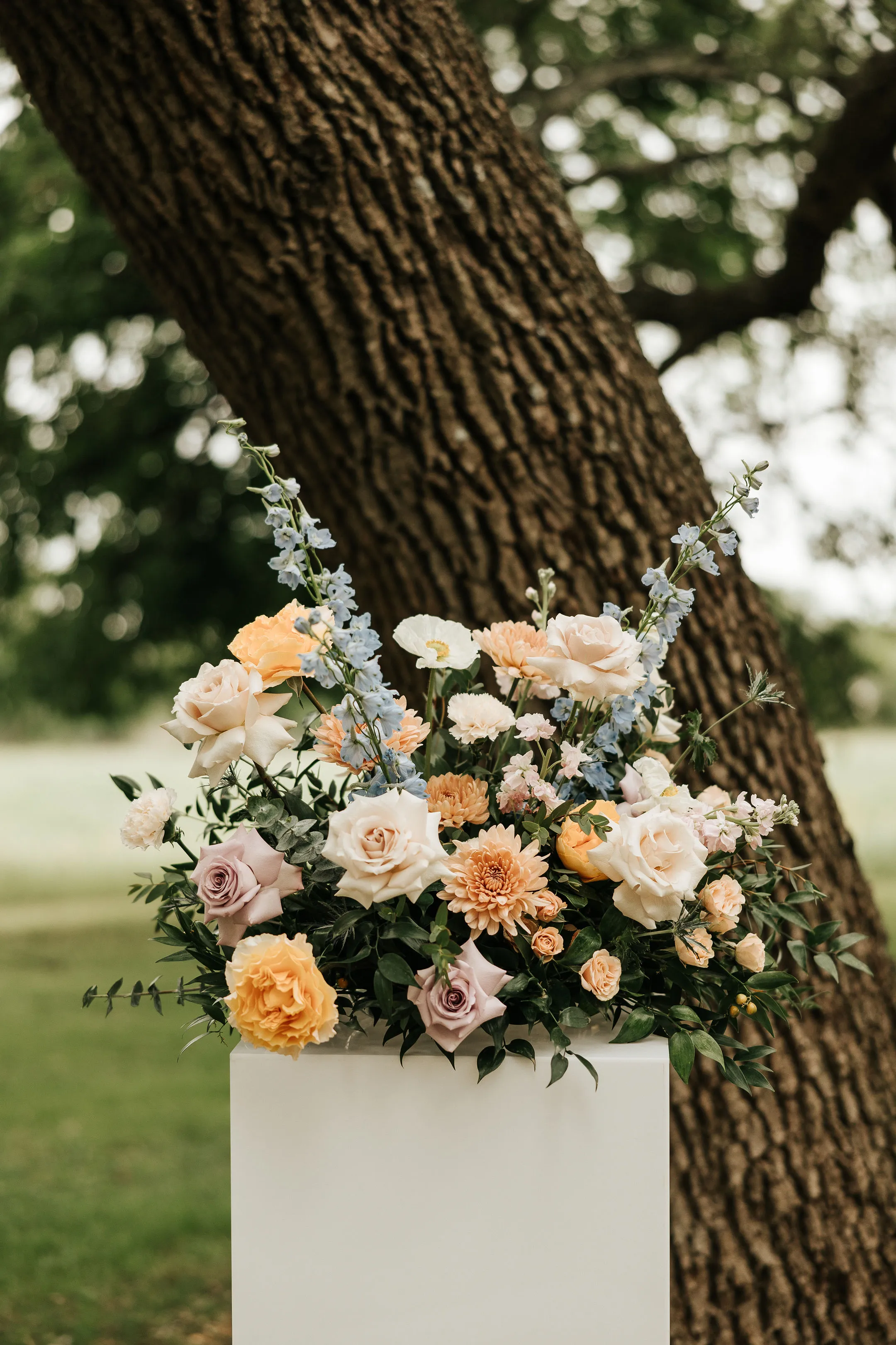 Real Poppy wedding — Courtney + Cody at Vineyards at Chappel Lodge