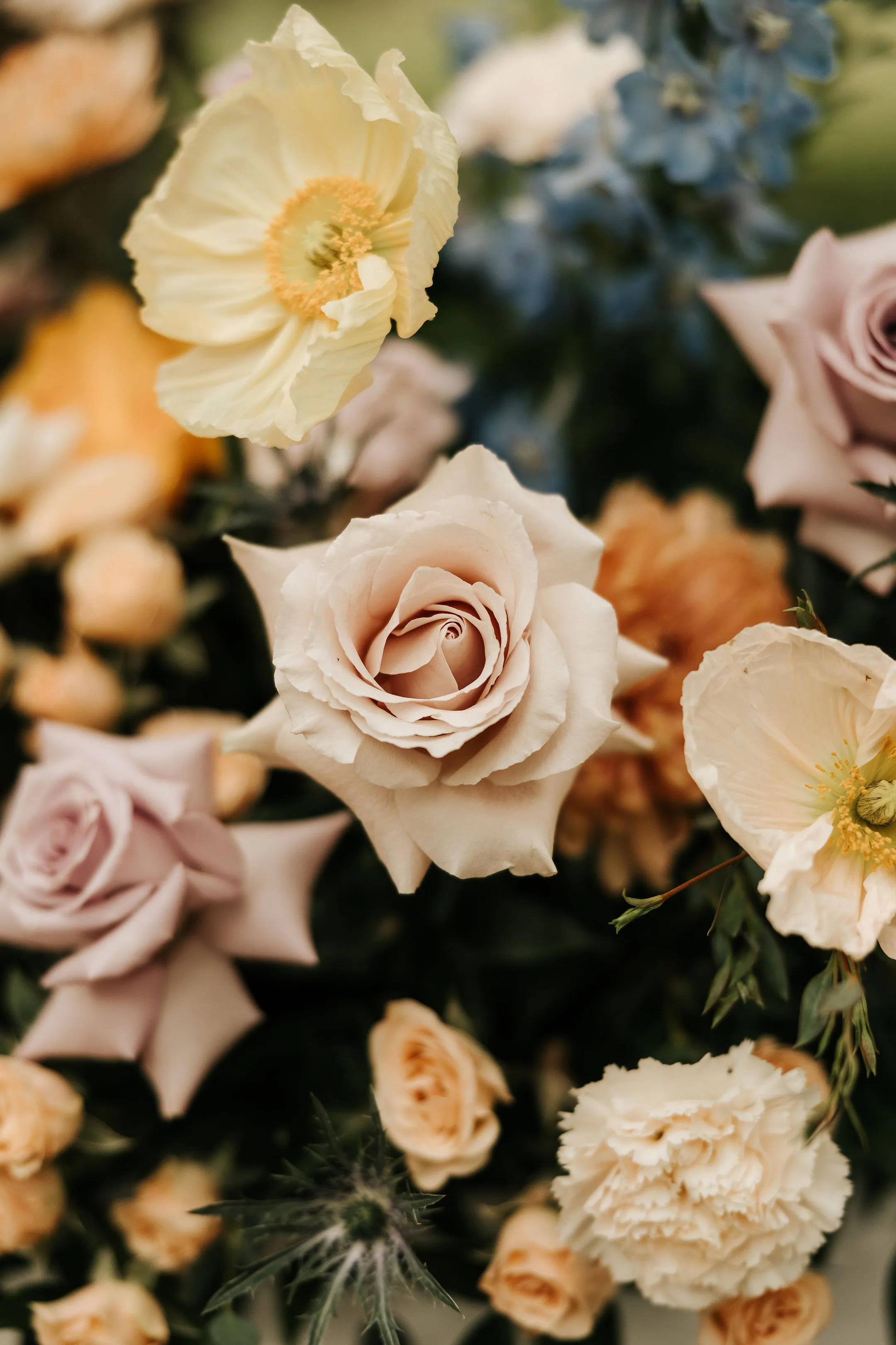 Real Poppy wedding — Courtney + Cody at Vineyards at Chappel Lodge