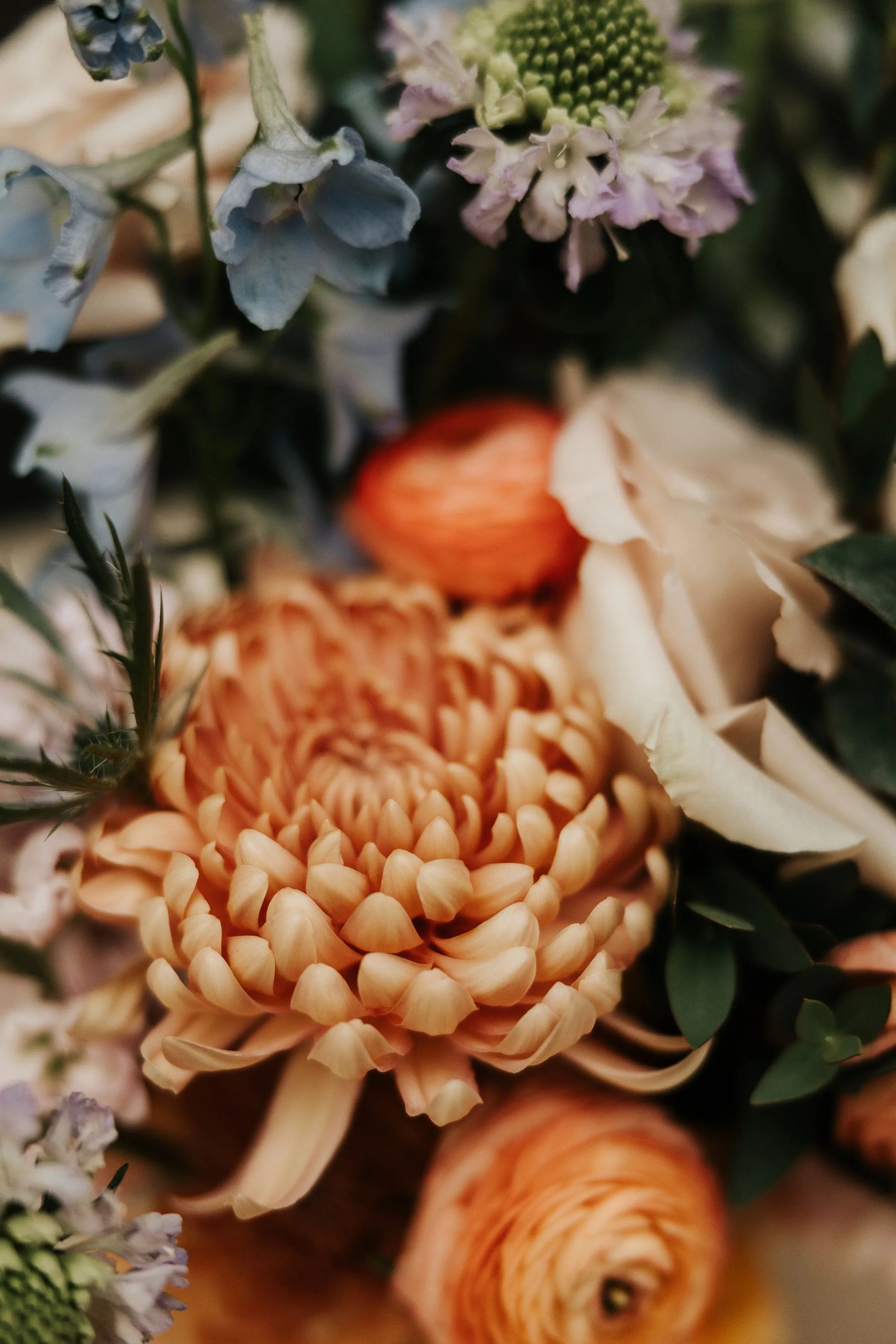 Real Poppy wedding — Courtney + Cody at Vineyards at Chappel Lodge