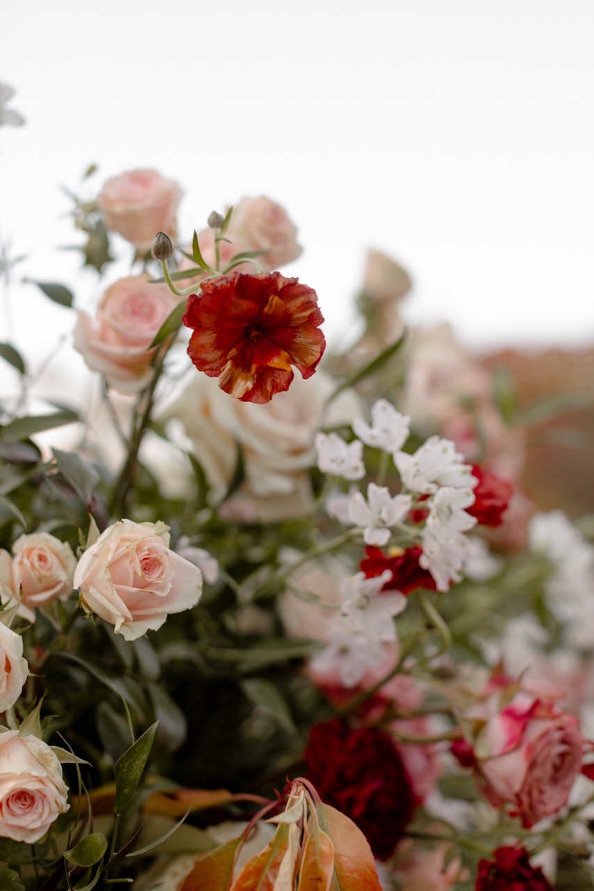 Real Poppy wedding — Sami + Taylor at Prospect Park