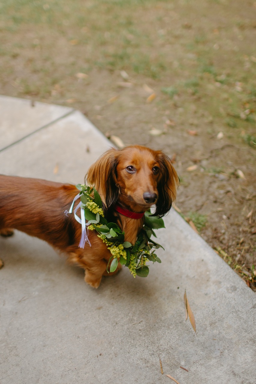 Real Poppy wedding — Kate + Theron at La Venta Inn