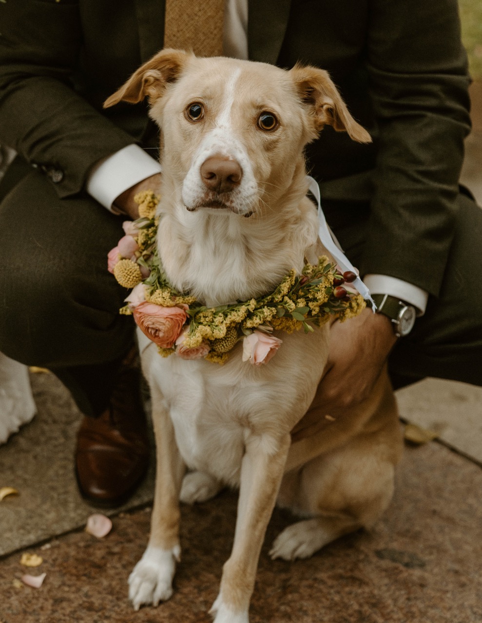 Real Poppy wedding — Kristin + Terry at Bartram's Garden