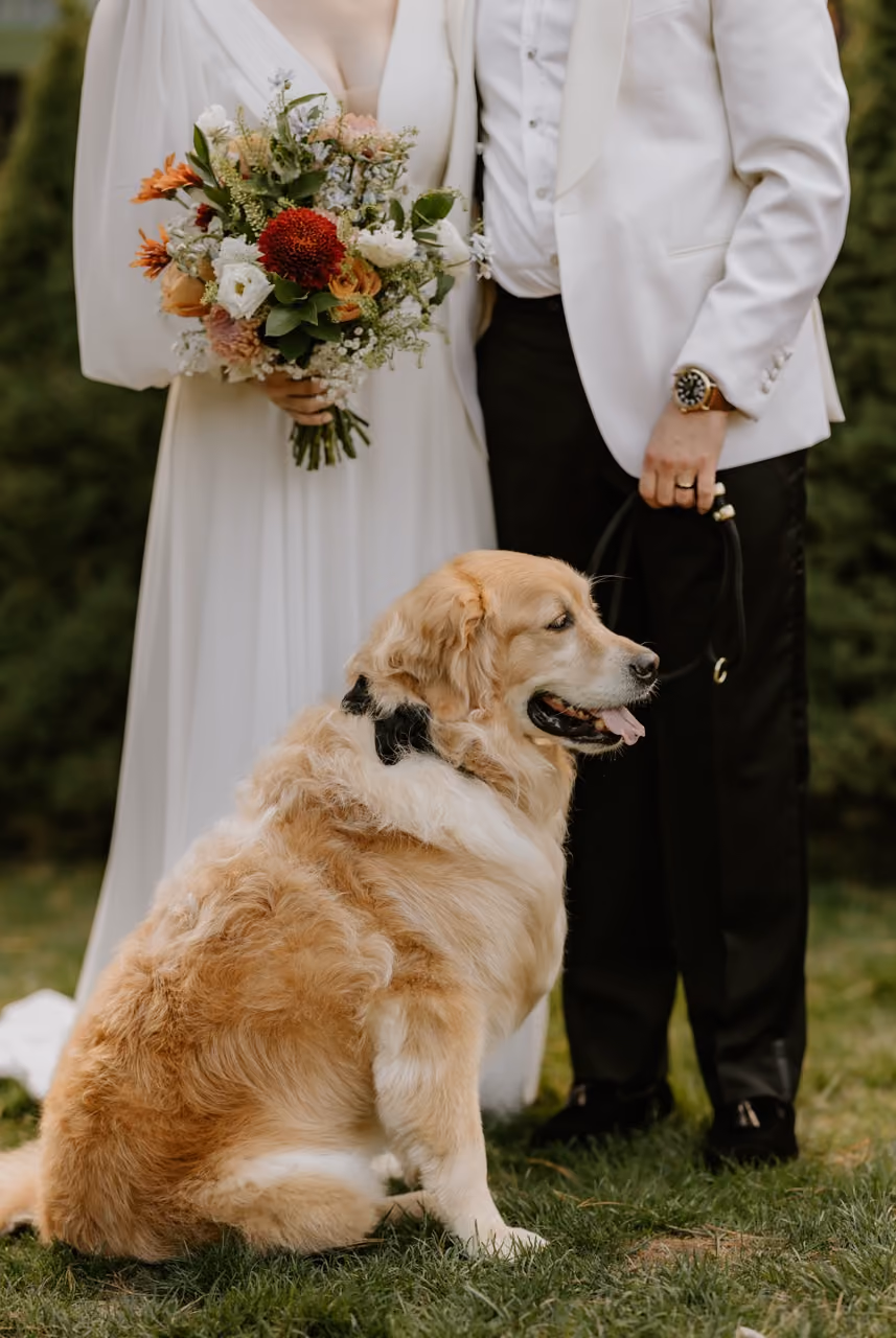 Bride and groom with golden retriever portrait at Willowdale Estate