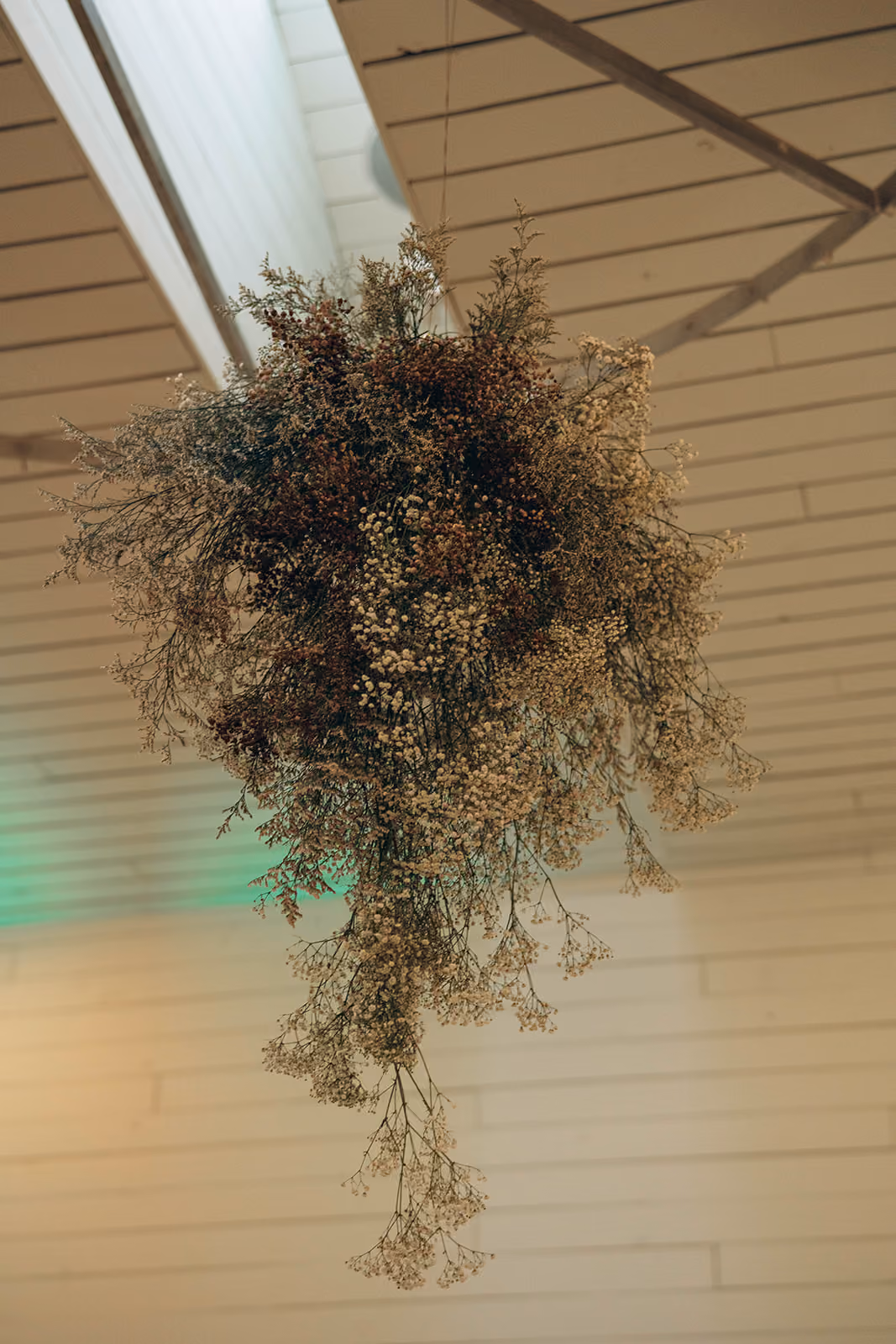 Deja Bloom Hanging Cloud