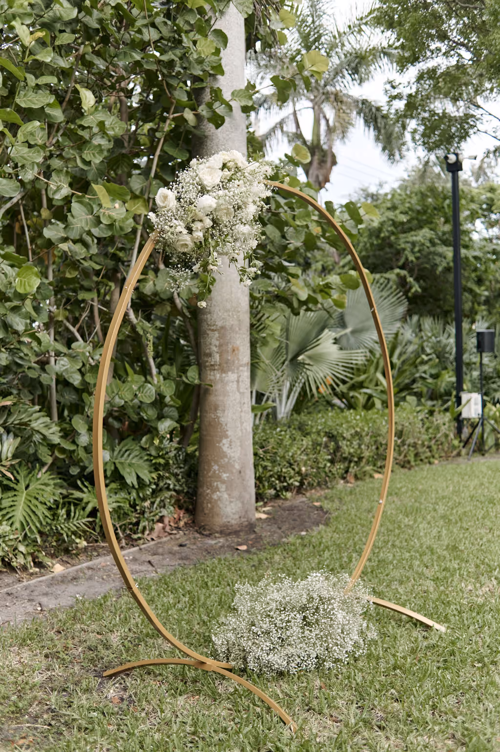 Chiffon Moment Arch Cluster
