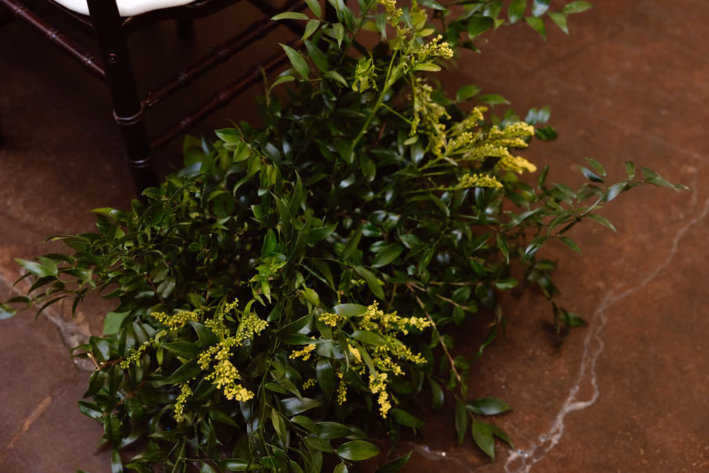 Pastel Paradise Greenery Floor Cloud