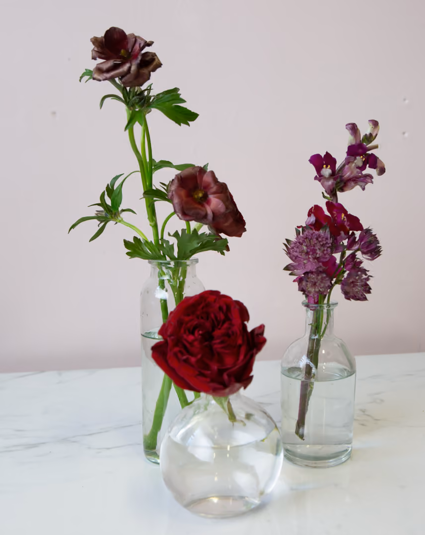 Berrywood - Bud Vase Trio