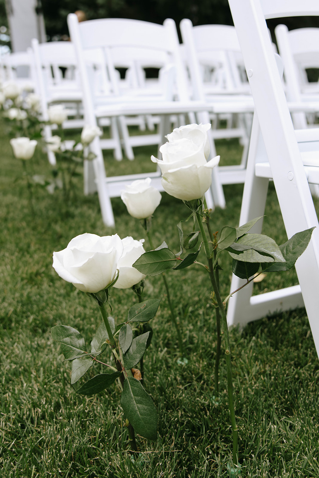 Real Poppy wedding — Lindsey + Matthew at Willow Creek