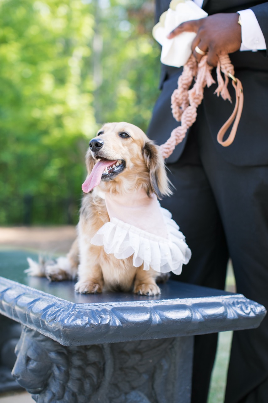 Real Poppy wedding — Julie + Mike at Ashton Gardens