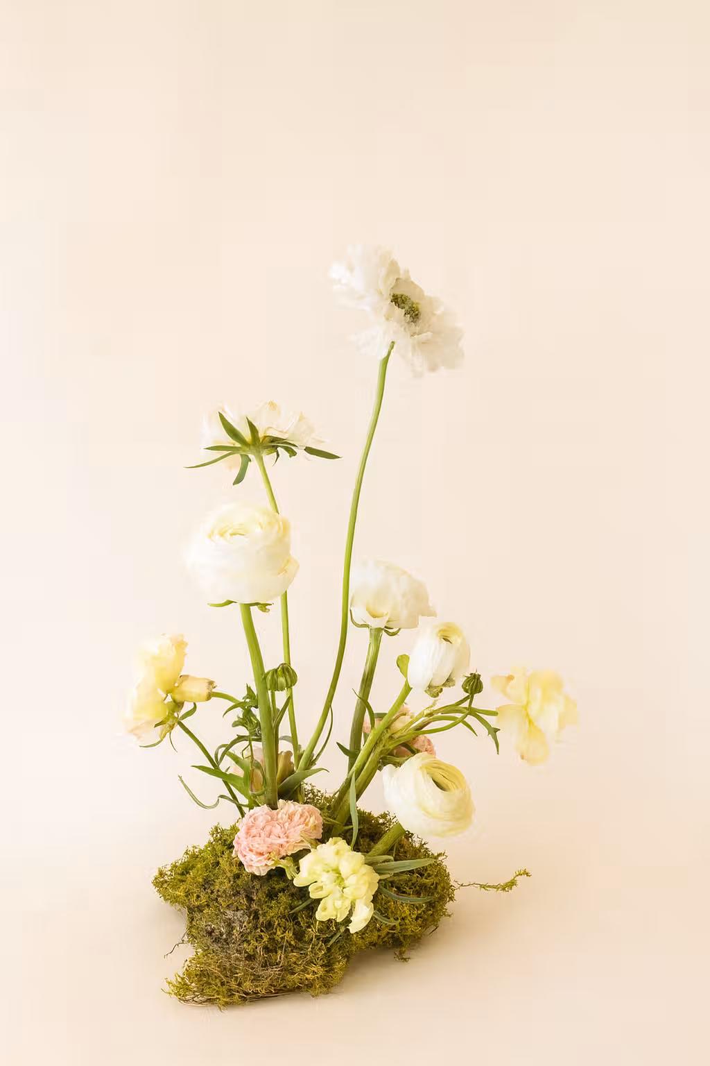 Mood Bloom - Moss Centerpiece