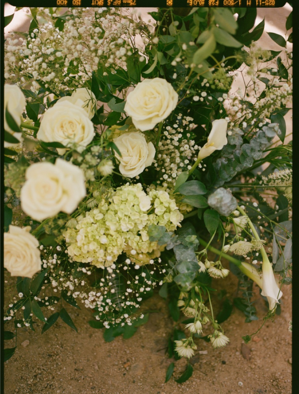 Real Poppy wedding — Hanna + Jacob at Campovida