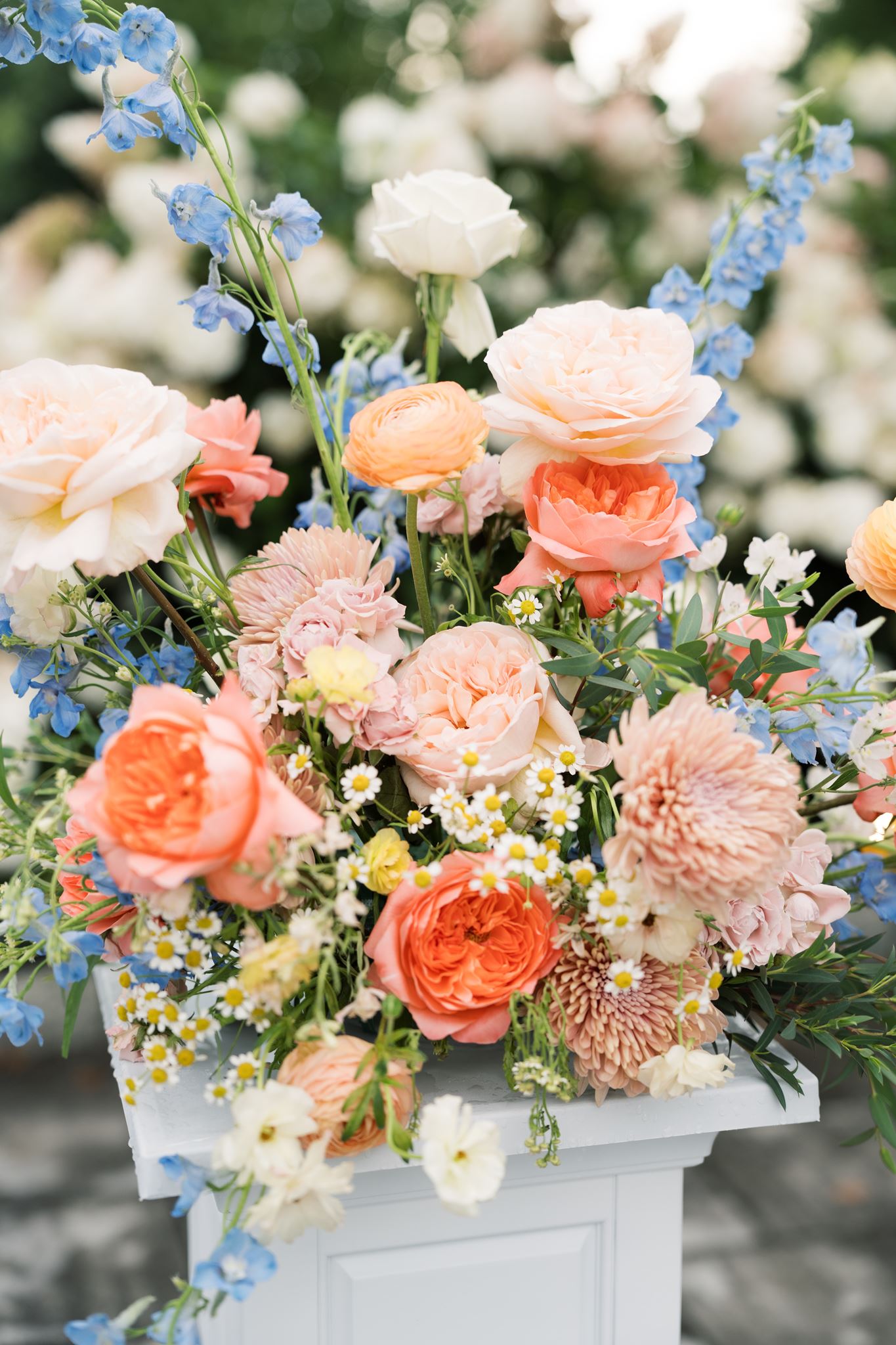 Real Poppy wedding — Shannon + Paul at Gardens at Applecross