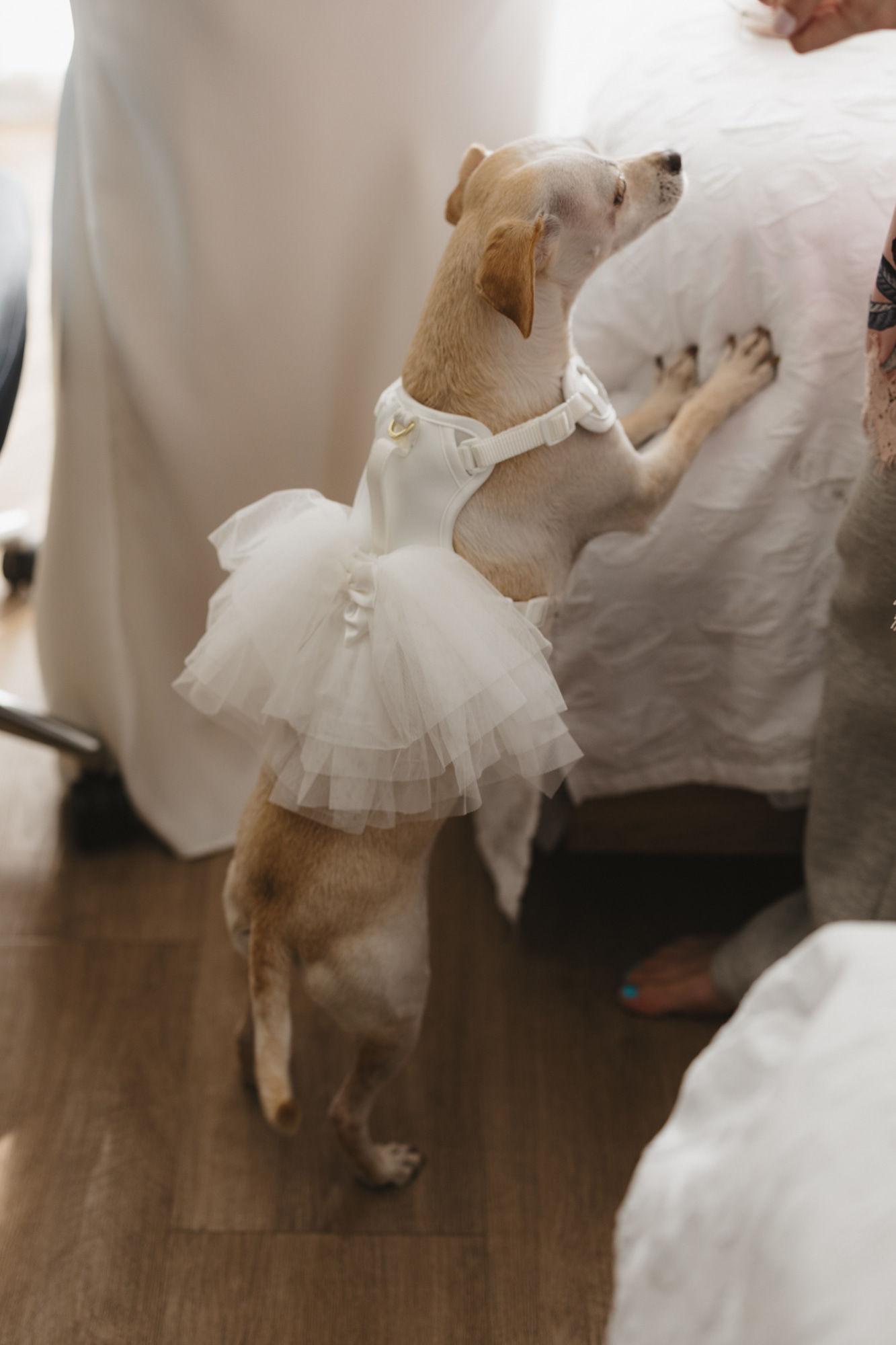 Real Poppy wedding — Jamie + Helen
