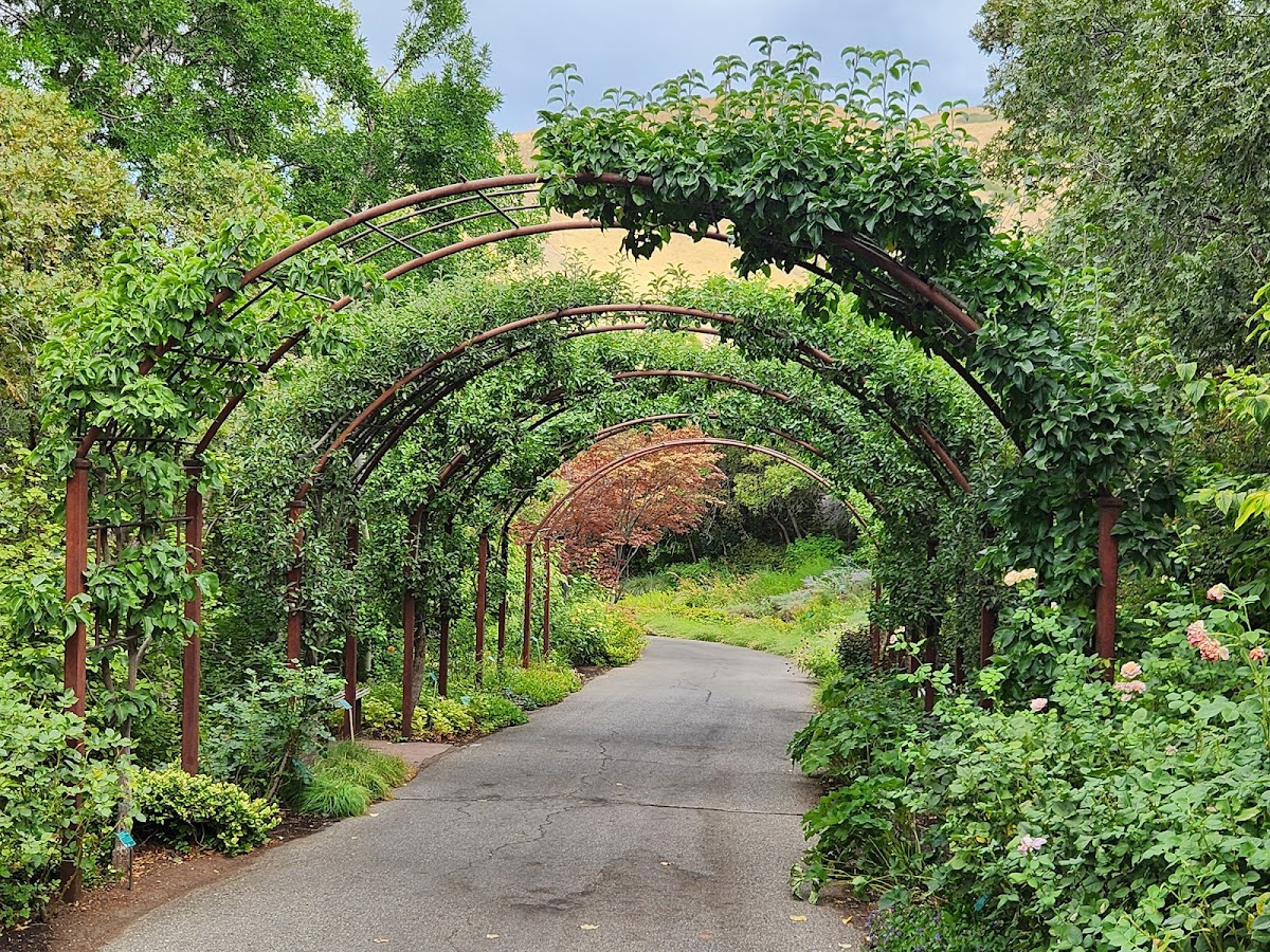 Red Butte Garden (300 S Wakara Wy) - wedding venue in Salt Lake City, UT