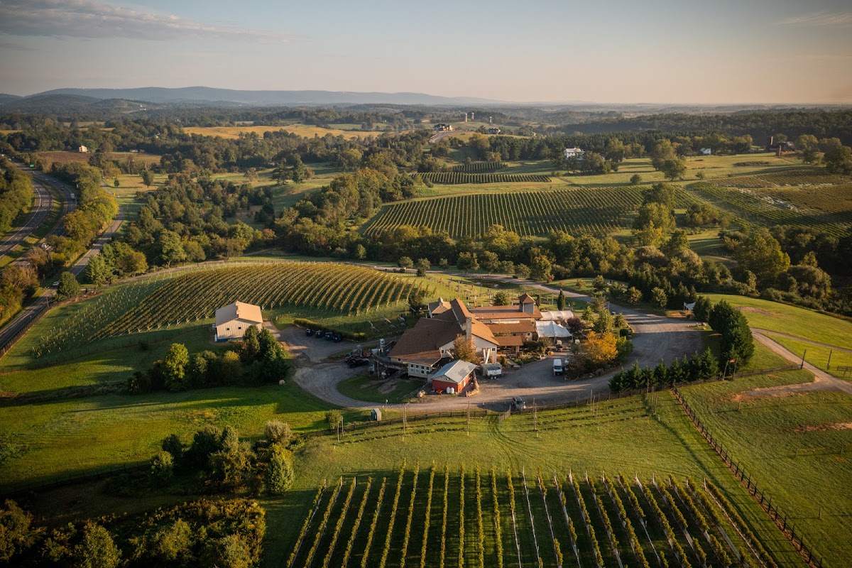 Barrel Oak Winery and Brewery - wedding venue in Delaplane, VA