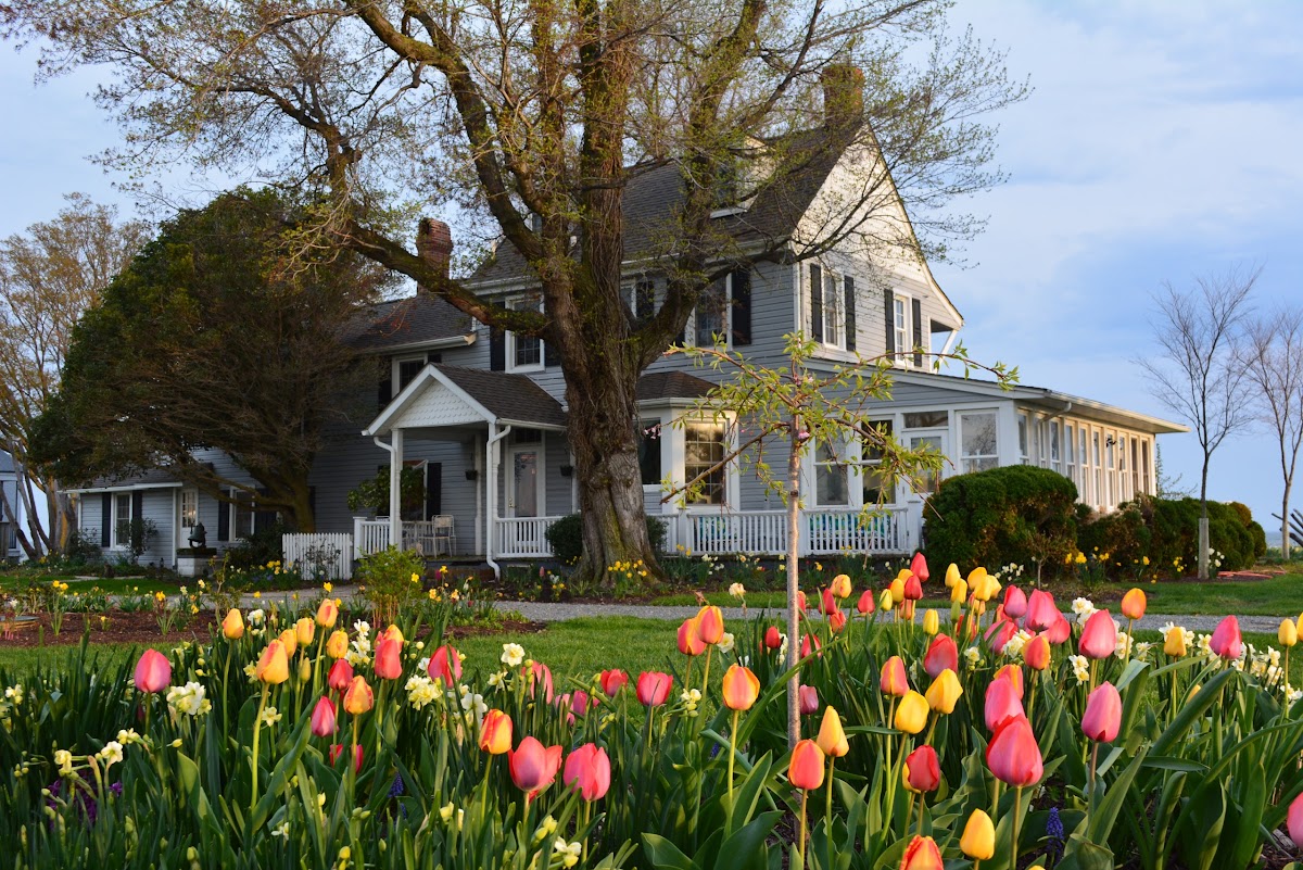 Black Walnut Point Inn - wedding venue in Tilghman Island, Maryland