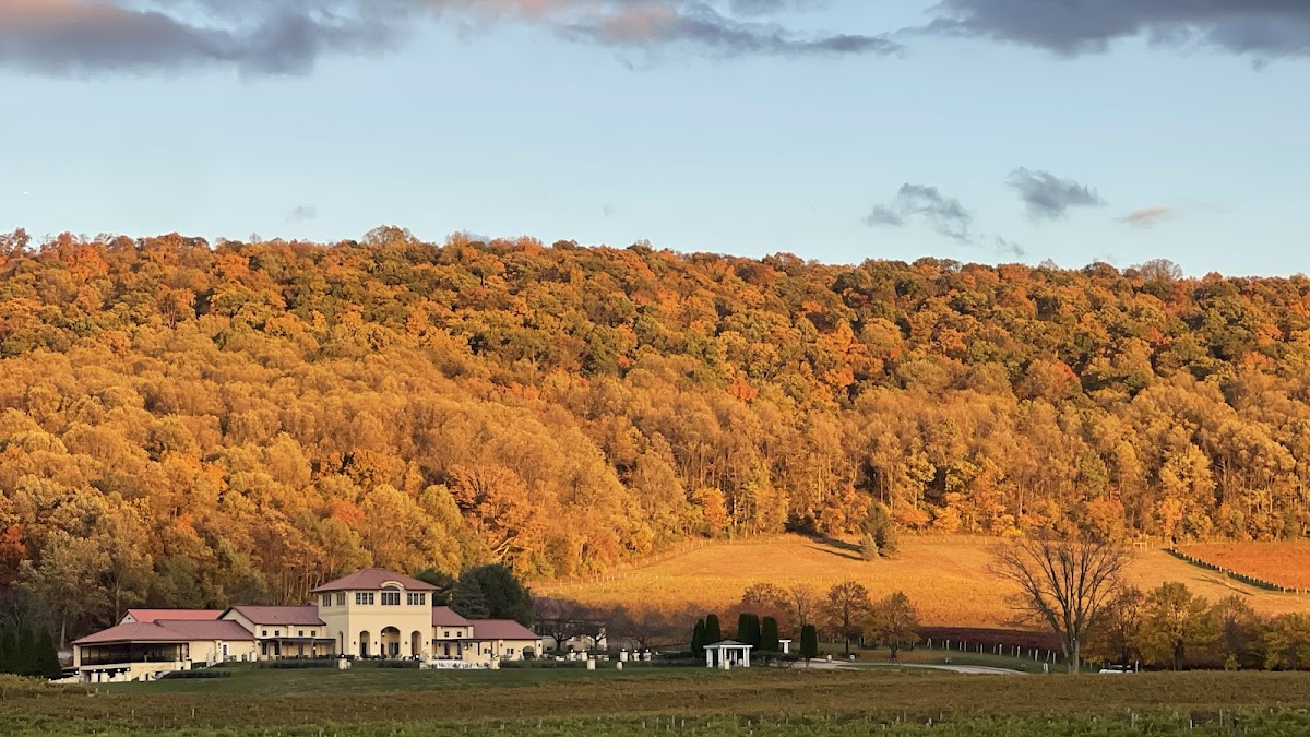 Breaux Vineyards - wedding venue in Purcellville, VA