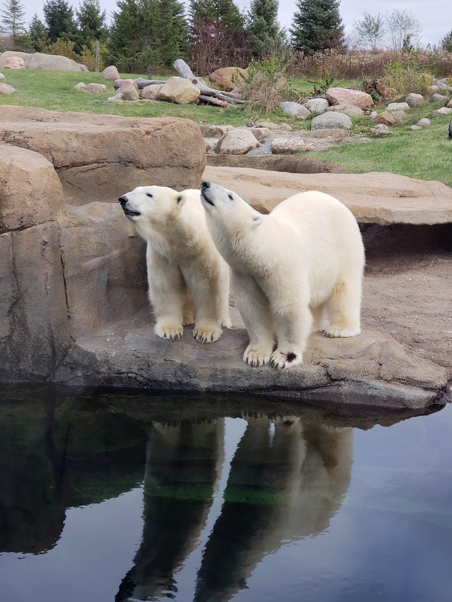 Columbus Zoo and Aquarium - wedding venue in Powell, OH