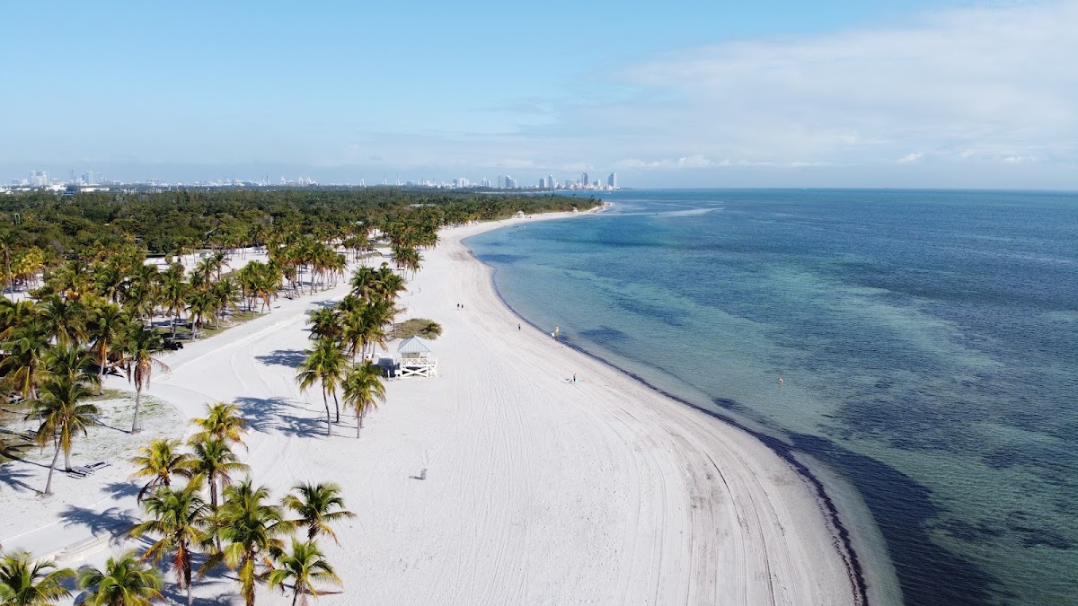 Designing for the Elements: A Florist's Guide to Crandon Park - wedding venue in Key Biscayne, FL