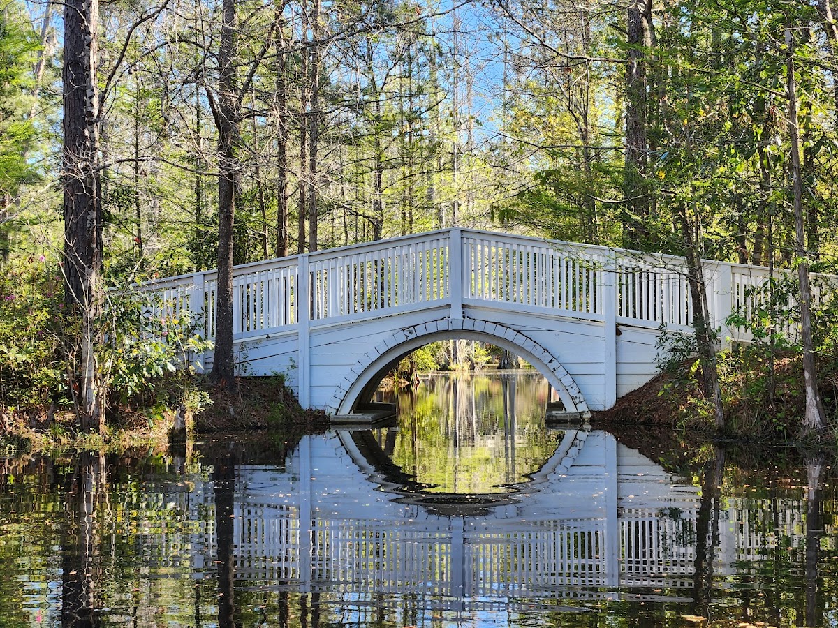 Cypress Gardens - wedding venue in Moncks Corner, SC