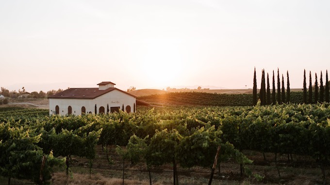 Danza del Sol Winery - wedding venue in Temecula, CA