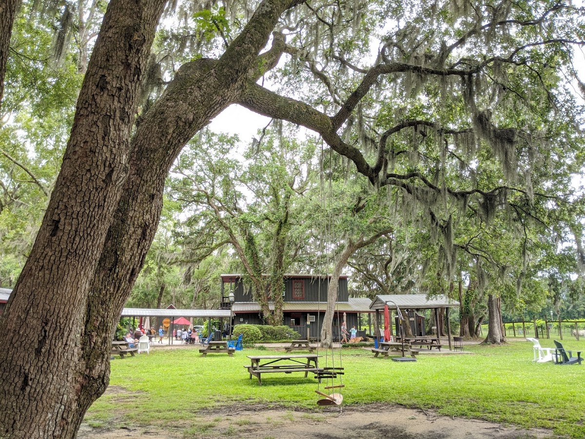 Deep Water Vineyard - wedding venue in Wadmalaw Island, SC