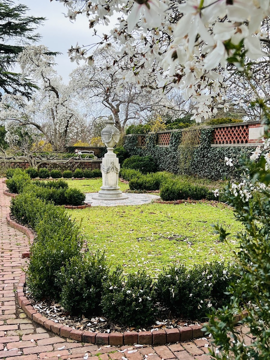 Dumbarton House, Georgetown - wedding venue in Washington, DC
