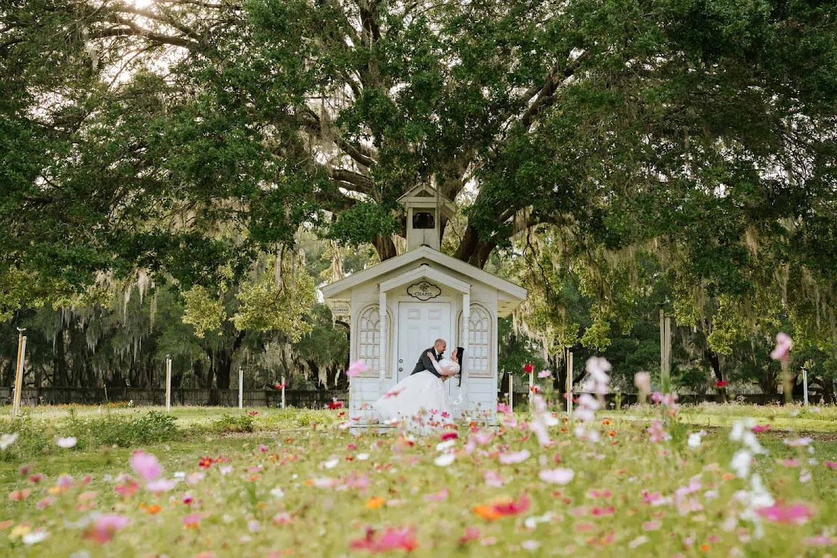Ever After Farms Flower Wedding Barn - wedding venue in Seffner, FL