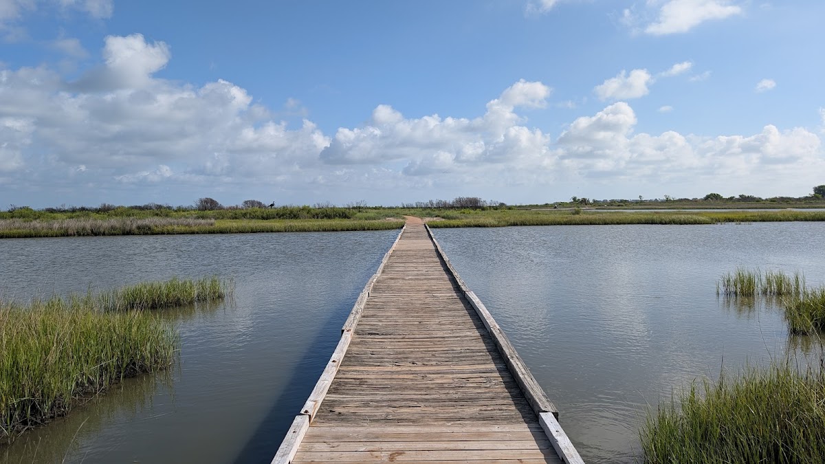 Galveston Island State Park - wedding venue in Galveston, TX