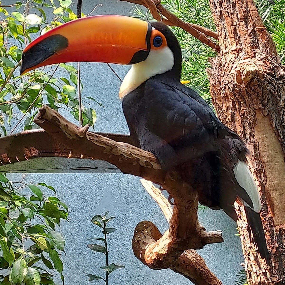 National Aviary - wedding venue in Pittsburgh, PA