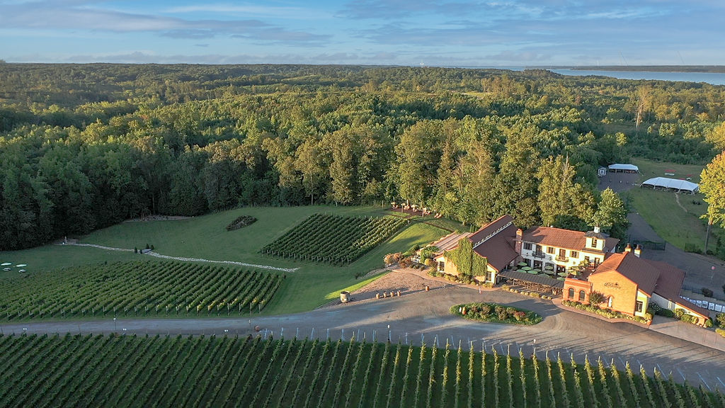 Potomac Point Winery: Designing Tuscan-Inspired Florals in Northern Virginia - wedding venue in Stafford, VA